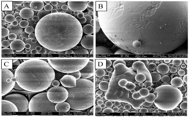 SEM images of Ti-6Al-4V Powder from fourth build showing larger particles
